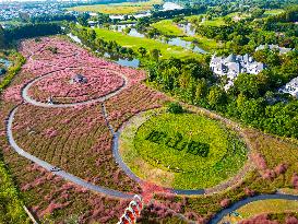 Visitors Enjoy Pink Grass at Dianshan Lake Park in Kunshan