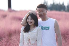 Visitors Enjoy Pink Grass at Dianshan Lake Park in Kunshan