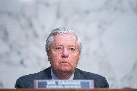 Senate Judiciary Hearing - Washington