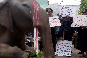 Activists Protest The Killing Of Elephants On Colombo