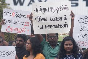 Activists Protest The Killing Of Elephants On Colombo