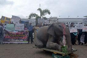 Activists Protest The Killing Of Elephants On Colombo