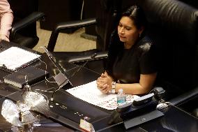 Alicia Barcena, Foreign Minister Of Mexico Appears Before The Senate