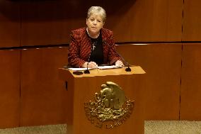 Alicia Barcena, Foreign Minister Of Mexico Appears Before The Senate
