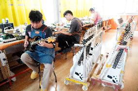 CHINA-SHANDONG-TANGWU-MUSICAL INSTRUMENT (CN)