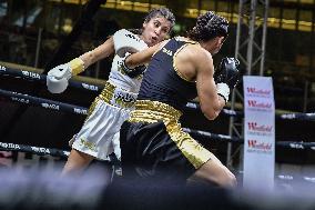 IBA Champions Fight - Paris