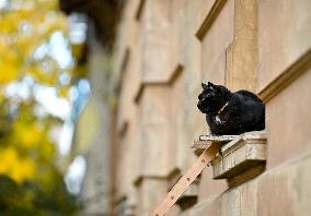 Autumn in Lviv