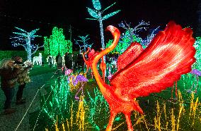 CANADA-MISSISSAUGA-LIGHTS SHOW