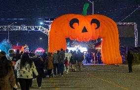 CANADA-MISSISSAUGA-LIGHTS SHOW
