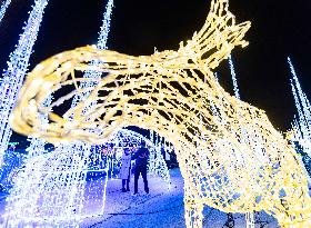 CANADA-MISSISSAUGA-LIGHTS SHOW