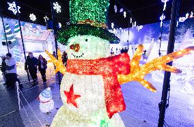 CANADA-MISSISSAUGA-LIGHTS SHOW