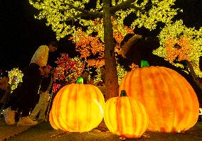 CANADA-MISSISSAUGA-LIGHTS SHOW