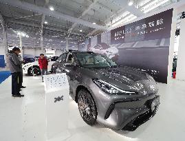 2023 Beijing International Automobile Culture Festival