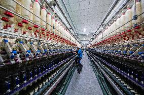 Worker Works in A Spinning Workshop in Bazhou