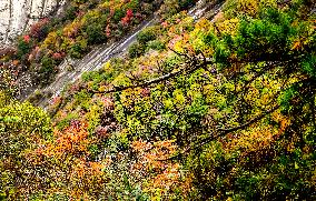 CHINA-SHAANXI-MOUNT HUASHAN-SCENERY (CN)