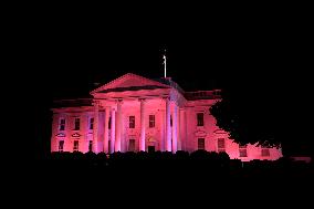 The White House is illuminated pink - Washington