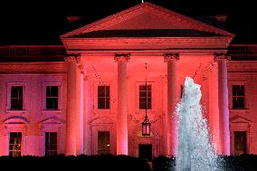 The White House is illuminated pink - Washington