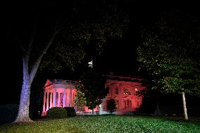 The White House is illuminated pink - Washington