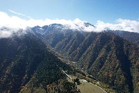 CHINA-GANSU-ZHOUQU-AUTUMN SCENERY (CN)