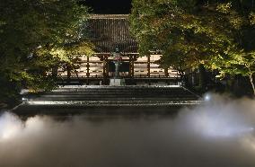 Kyoto's Ninnaji temple in special light-up