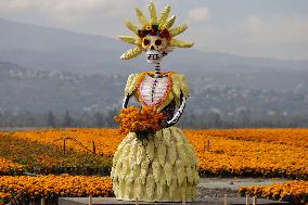 Pre-Hispanic Blessing Ceremony Of Cempasúchil Flowers In Mexico