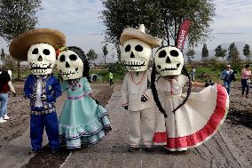 Cempasuchil Flower Sales Season Begins For The Day Of The Dead Festival - Mexico