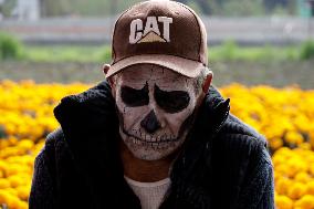Cempasuchil Flower Sales Season Begins For The Day Of The Dead Festival - Mexico