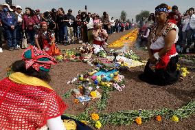 Cempasuchil Flower Sales Season Begins For The Day Of The Dead Festival - Mexico
