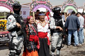 Cempasuchil Flower Sales Season Begins For The Day Of The Dead Festival - Mexico