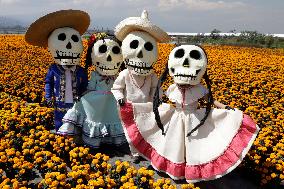 Cempasuchil Flower Sales Season Begins For The Day Of The Dead Festival - Mexico