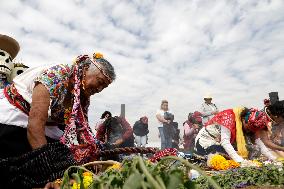 Cempasuchil Flower Sales Season Begins For The Day Of The Dead Festival - Mexico