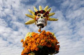 Cempasuchil Flower Harvest Season During The Day Of The Dead Celebrations