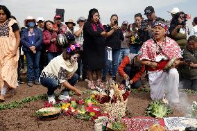 Cempasuchil Flower Harvest Season During The Day Of The Dead Celebrations