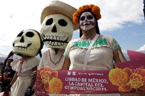 Cempasuchil Flower Harvest Season During The Day Of The Dead Celebrations