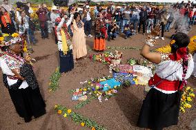 Cempasuchil Flower Harvest Season During The Day Of The Dead Celebrations