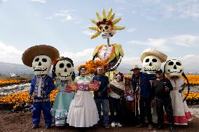 Cempasuchil Flower Harvest Season During The Day Of The Dead Celebrations