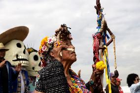 Cempasuchil Flower Harvest Season During The Day Of The Dead Celebrations