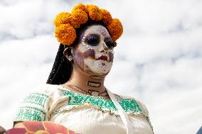 Cempasuchil Flower Harvest Season During The Day Of The Dead Celebrations