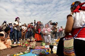 Cempasuchil Flower Harvest Season During The Day Of The Dead Celebrations