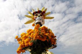 Cempasuchil Flower Harvest Season During The Day Of The Dead Celebrations