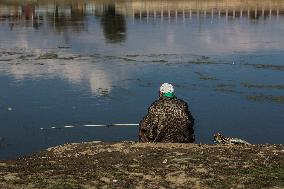 Daily Life In Kashmir