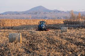 CHINA-HEILONGJIANG-AUTUMN-HARVEST (CN)