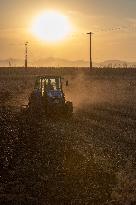 CHINA-HEILONGJIANG-AUTUMN-HARVEST (CN)