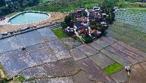 Irrigation On A Agriculture During A Drought In Indonesia