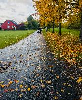 Autumn In Sweden