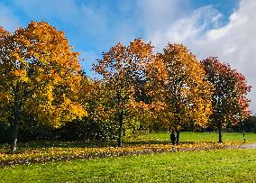 Autumn In Sweden