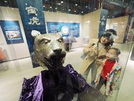 Exhibition of Animal Head Bronze Statues at the Old Summer Palace Museum in Beijing