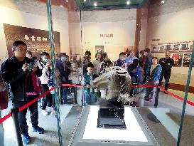 Exhibition of Animal Head Bronze Statues at the Old Summer Palace Museum in Beijing