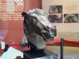 Exhibition of Animal Head Bronze Statues at the Old Summer Palace Museum in Beijing