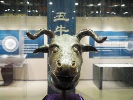 Exhibition of Animal Head Bronze Statues at the Old Summer Palace Museum in Beijing